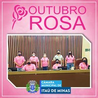 EM OUTUBRO, A CÂMARA VESTE ROSA